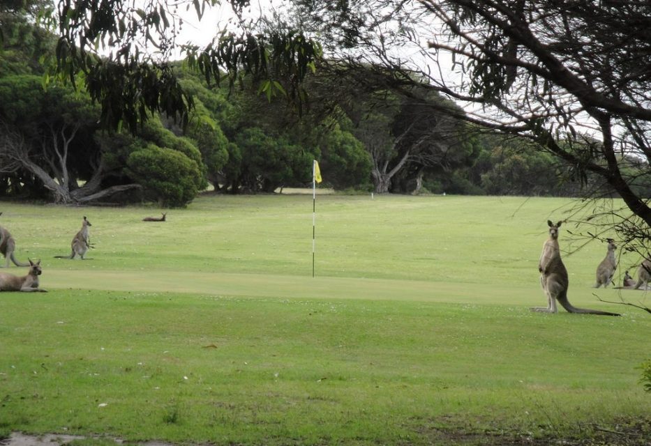 Mallacoota Golf and Country Club