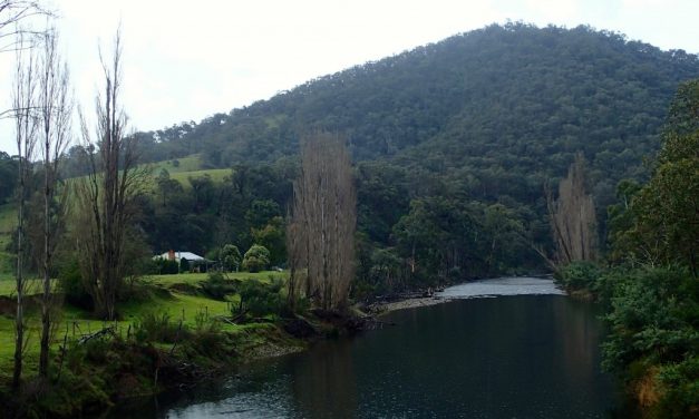 Sustainable Travel, Small Footprints, Big Adventures