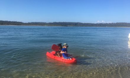 Kayak and SUP in Metung