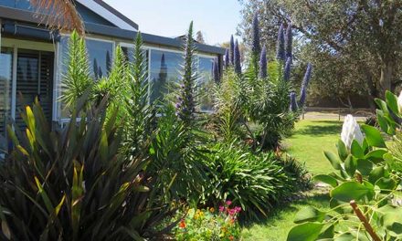 Lakes Waterfront Motel Accommodation Lakes Entrance