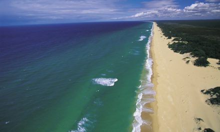 Discovering the Natural Wonder of Ninety Mile Beach in Gippsland